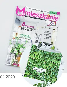 moje mieszkanie